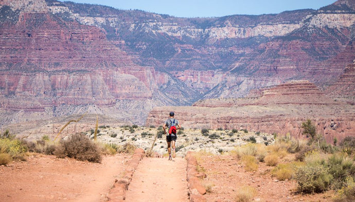 The One Thing Every Endurance Athlete Needs to Know